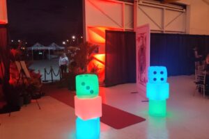 IMG_20250308_190635387